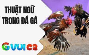 Thuật Ngữ Trong Đá Gà
