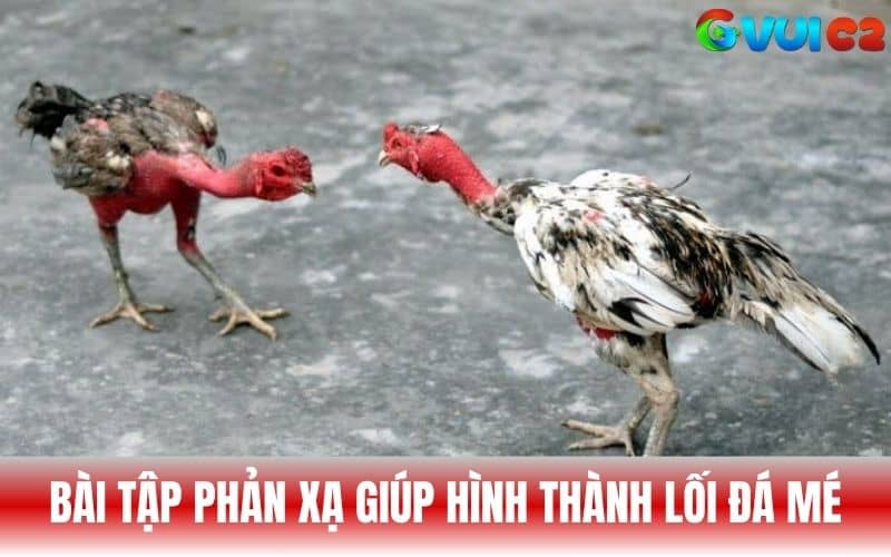 Bài tập phản xả lệch góc giúp kỹ năng đá mé hình thành tự nhiên Bài tập phản xả lệch góc giúp kỹ năng đá mé hình thành tự nhiên