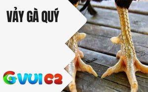 Vảy Gà Quý