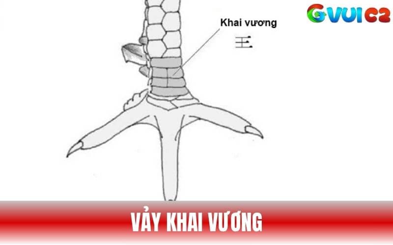 Vảy Khai Vương gồm 4 vảy xếp thành hình vuông Vảy Khai Vương gồm 4 vảy xếp thành hình vuông