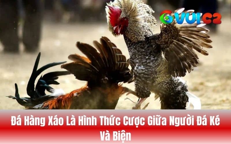 Đá hàng xáo là hình thức đặt cược giữa người đá ké và biện