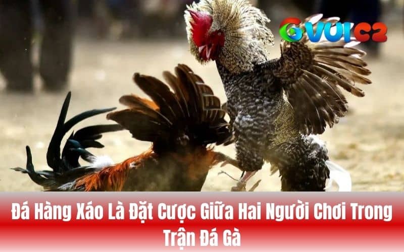 Đá hàng xáo là hình thức đặt cược giữa hai người chơi có thể thỏa thuận mức cược Đá hàng xáo là hình thức đặt cược giữa hai người chơi có thể thỏa thuận mức cược