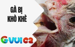 Gà bị khò khè