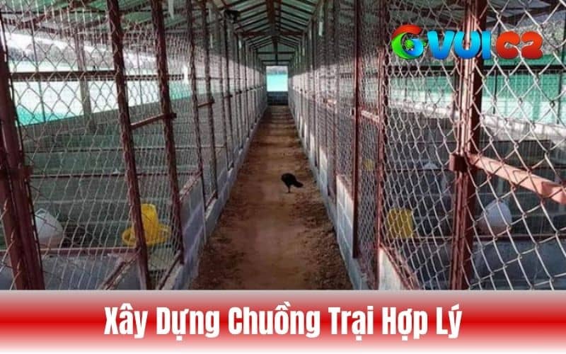 Môi trường sống sạch sẽ giúp gà không gặp tình trạng hóc Môi trường sống sạch sẽ giúp gà không gặp tình trạng hóc