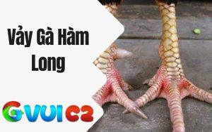 Vảy Gà Hàm Long