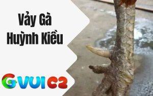 Vảy Gà Huỳnh Kiều