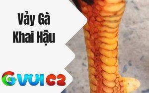 Vảy gà khai hậu