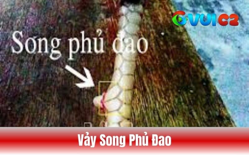 Vảy song phủ đao Vảy song phủ đao