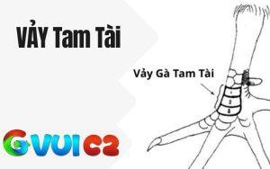 Vảy Tam Tài