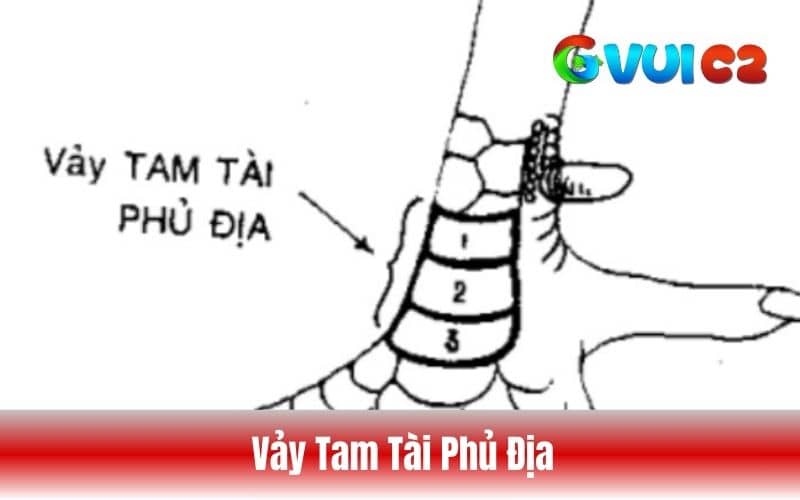 Vảy tam tài phủ địa Vảy tam tài phủ địa