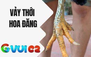 Vảy Thới Hoa Đăng
