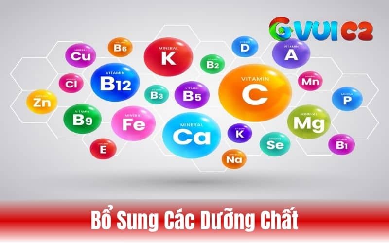 Xây dựng quy trình bổ sung thức ăn và nước uống phù hợp Xây dựng quy trình bổ sung thức ăn và nước uống phù hợp