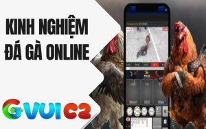 Kinh Nghiệm Đá Gà Online