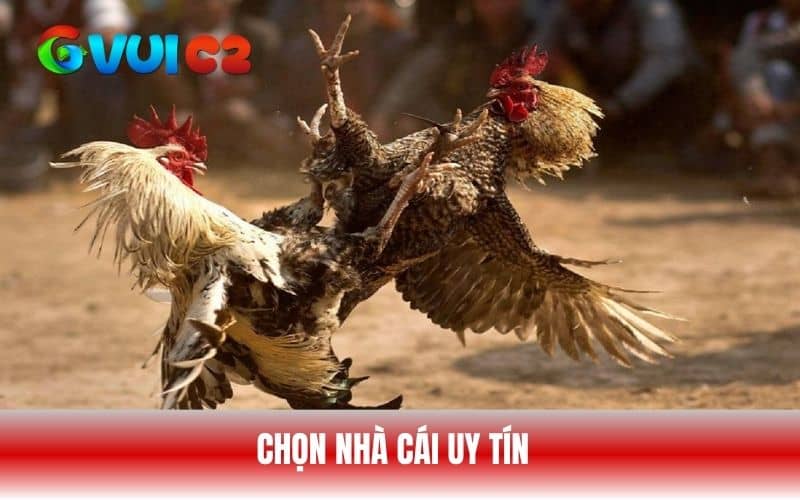 Người chơi nên lựa chọn đặt cược ở những nhà cái có tiếng Người chơi nên lựa chọn đặt cược ở những nhà cái có tiếng