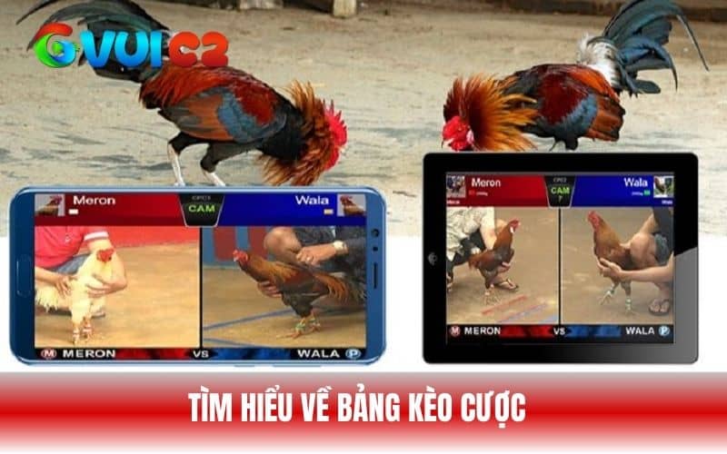 Tìm hiểu bảng kèo cược giúp bạn chọn được chiến kê có thể chiến thắng Tìm hiểu bảng kèo cược giúp bạn chọn được chiến kê có thể chiến thắng