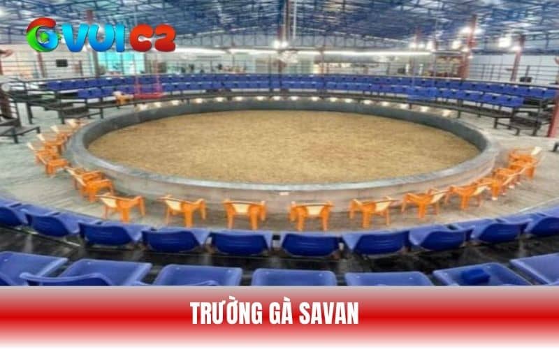 Trường gà Sanvan gần với cửa khẩu Lao Bảo, Quảng Trị Trường gà Sanvan gần với cửa khẩu Lao Bảo, Quảng Trị
