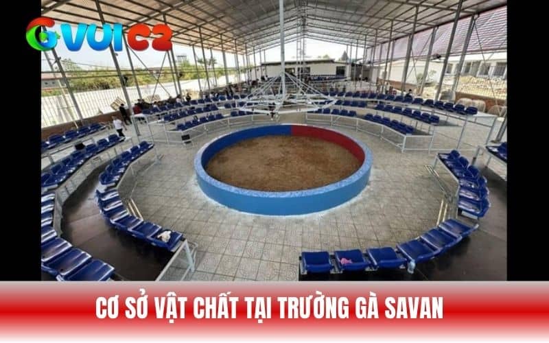 Trường gà Savan có cơ sở vật chất đầy đủ Trường gà Savan có cơ sở vật chất đầy đủ